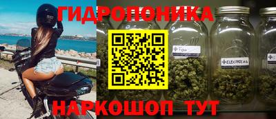 шишки Мариинск