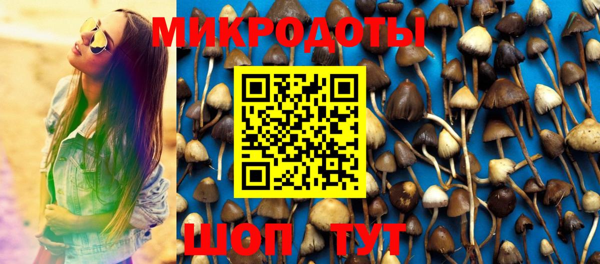 Шебекино  Псилоцибиновые грибы ЛСД  Вход с VPN  Псилоцибиновые грибы Magic Shrooms 