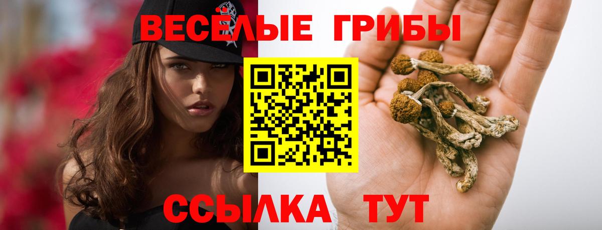 Галлюциногенные грибы мухоморы Шебекино
